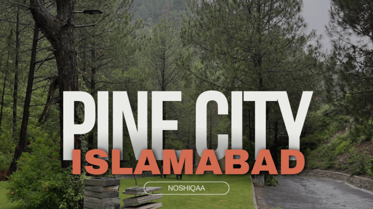 Pine City Islamabad