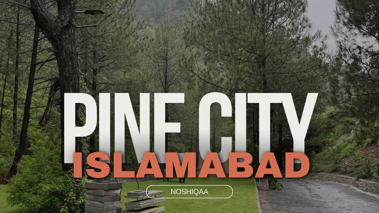 Pine City Islamabad