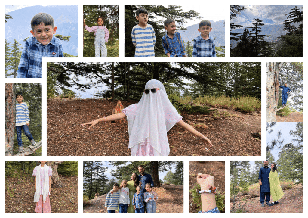Picture of Collage at Chitral Gol National Park